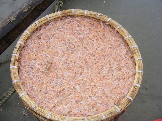 Mùa “tép nhảy” ảnh 8