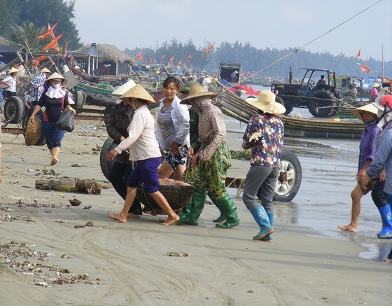 Mùa “tép nhảy” ảnh 2