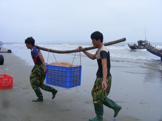 Mùa “tép nhảy” ảnh 4