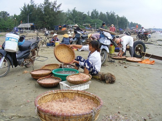 Mùa “tép nhảy” ảnh 6