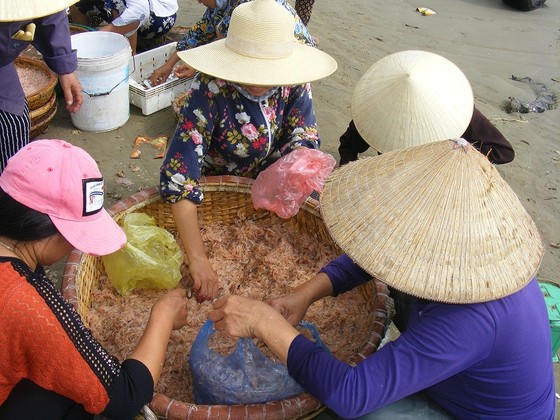Mùa “tép nhảy” ảnh 7