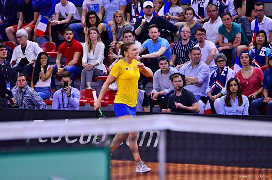 Osaka, Halep và Kvitova tranh ngôi Nữ hoàng ở Stuttgart, WTA Tour sẽ có chủ nhân của danh hiệu thứ 2 ảnh 1