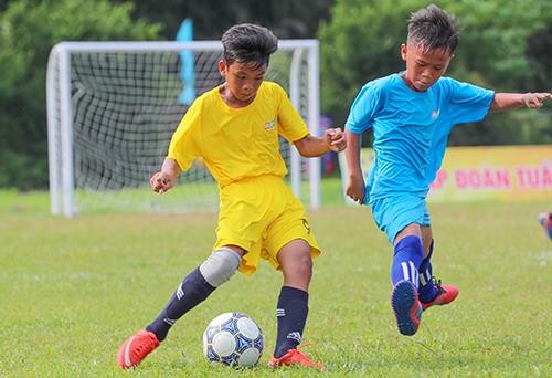 Giải bóng đá thiếu nhi Bà Rịa - Vũng Tàu 2019: Cầu thủ Lê Thái Vũ ghi đến 21 bàn thắng ảnh 1