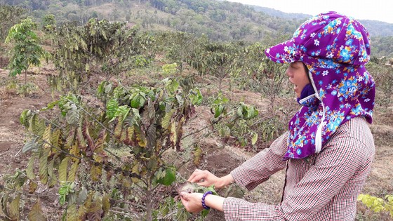 Chưa thống nhất đền bù, đã đề xuất cho mỏ đá hoạt động lại ảnh 2