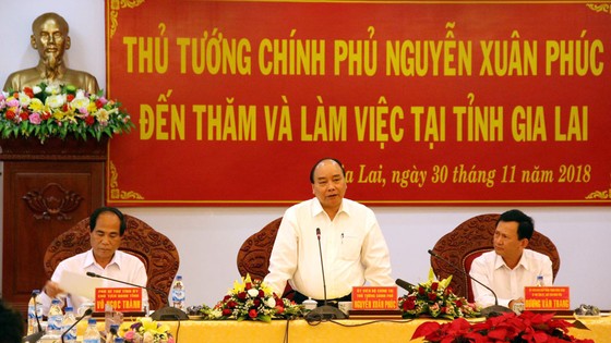 Xây dựng thương hiệu để nâng tầm giá trị sản phẩm nông nghiệp của Gia Lai ảnh 1