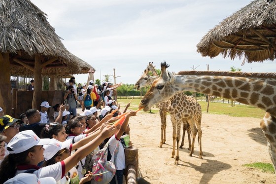 Người dân miền Trung, Tây Nam Bộ tận hưởng ưu đãi chưa từng có từ Vinpearl Land và Safari ảnh 1