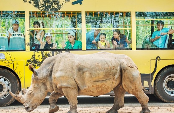 Người dân miền Trung, Tây Nam Bộ tận hưởng ưu đãi chưa từng có từ Vinpearl Land và Safari ảnh 6