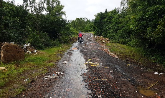 Phú Yên: Phát hiện vụ đánh bạc cực lớn, bắt 95 “con bạc”, tạm giữ 30 ô tô ảnh 4