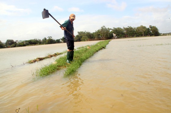 Cuối năm lũ vẫn đang “vây ráp” Phú Yên và Bình Định, 1 người chết vì lũ cuốn ảnh 7