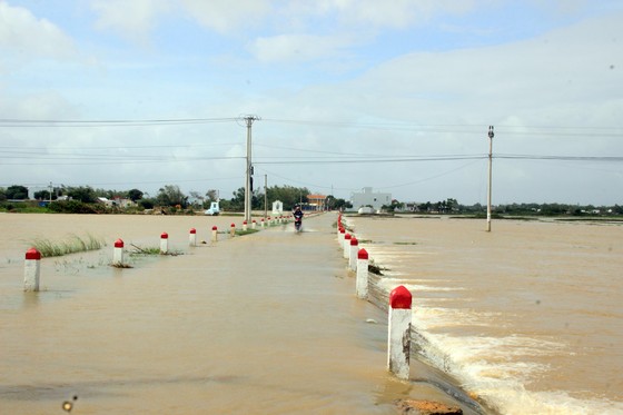 Cuối năm lũ vẫn đang “vây ráp” Phú Yên và Bình Định, 1 người chết vì lũ cuốn ảnh 5