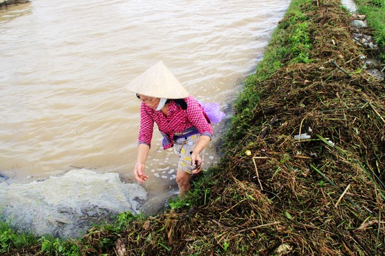 Cuối năm lũ vẫn đang “vây ráp” Phú Yên và Bình Định, 1 người chết vì lũ cuốn ảnh 8