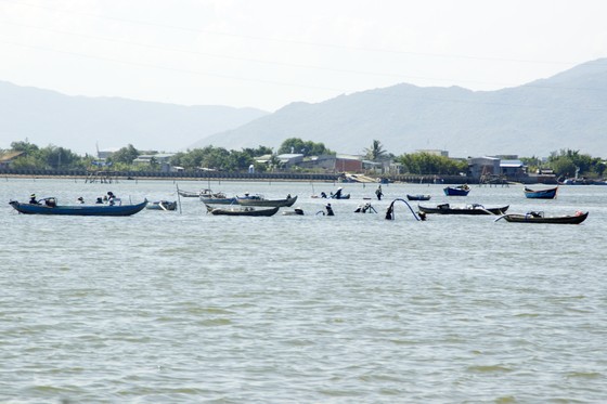 Cá ông lạc vào đầm Thị Nại, sa vào lưới vợ chồng đánh cá đêm ảnh 5