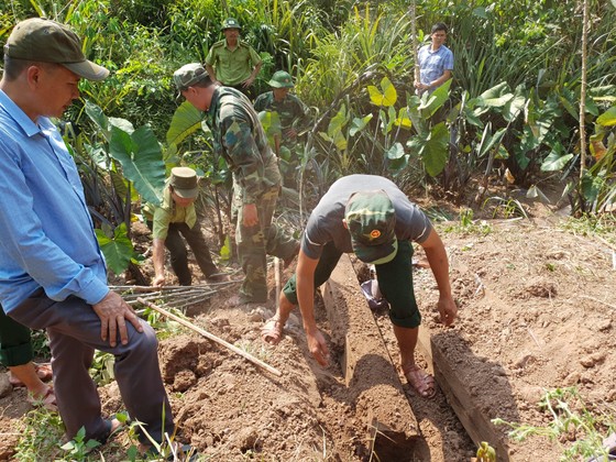Phát hiện 3 hầm gỗ mun "khủng" ở biên giới Thượng Trạch ảnh 5