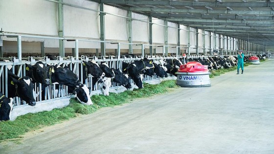Vinamilk là thương hiệu có giá trị cao nhất Việt Nam năm 2019 ảnh 2