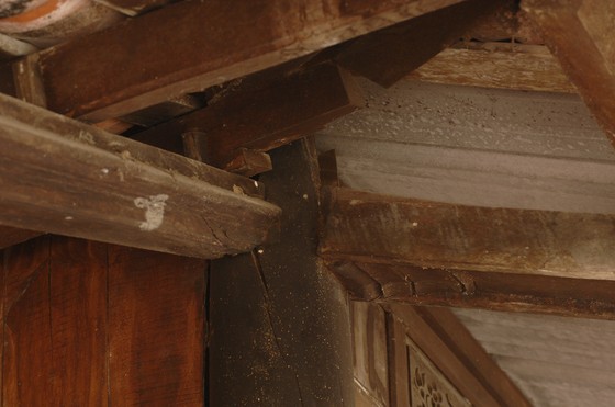 Độc đáo nhà trăm cột bằng gỗ quý tại Đồng Tháp ảnh 15