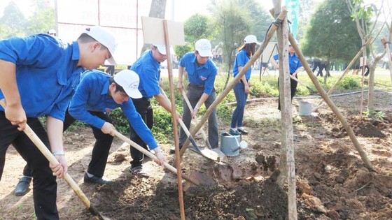 TPHCM: Phát động “Tết trồng cây đời đời nhớ ơn Bác Hồ” ảnh 1