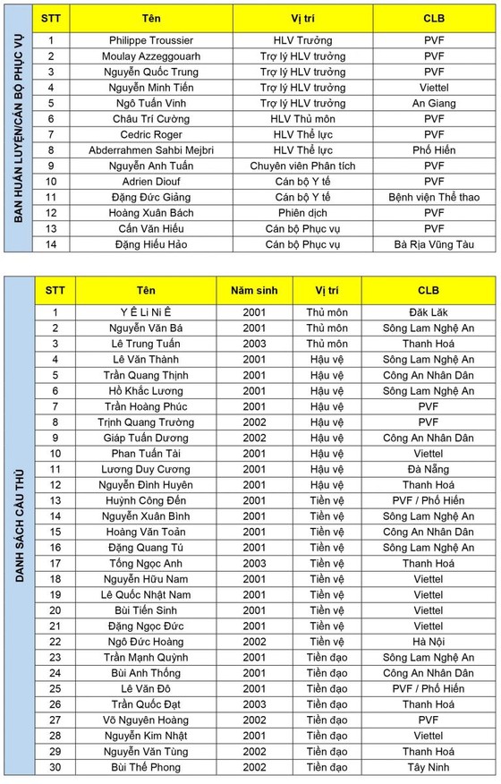 HLV Phillippe Troussier chia tay 11 cầu thủ U19 Việt Nam ảnh 3