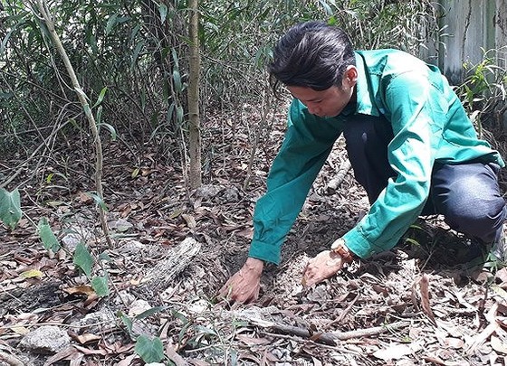 Không khởi tố vụ án Nhà máy xử lý rác thải TP Cà Mau phát hiện 300 xác thai nhi ảnh 1