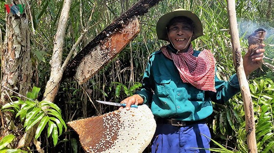 Gác kèo ong và muối ba khía được công nhận Di sản văn hóa phi vật thể cấp quốc gia ảnh 1
