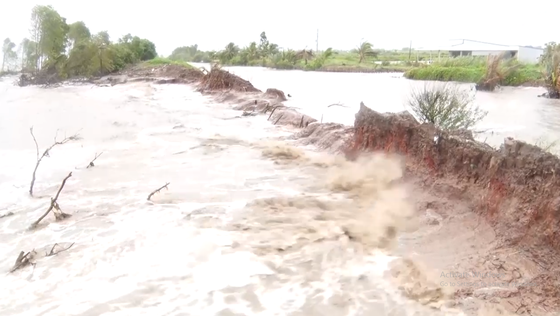 Kiên Giang tập trung khắc phục vỡ đê biển Tây ảnh 1