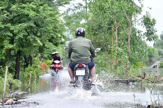 Cà Mau: Hai huyện tiếp tục cho học sinh nghỉ học vì đường ngập ảnh 1