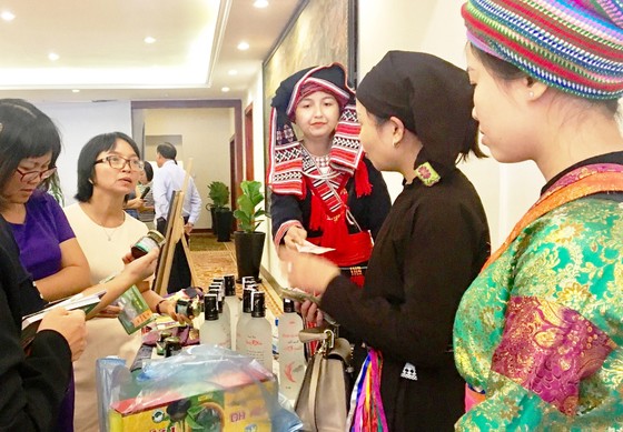 Hà Giang tìm cách thu hút du khách TPHCM ảnh 2