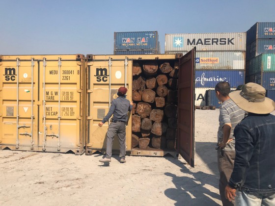 Phát hiện 50 container nghi gỗ giáng hương nhập lậu ảnh 1