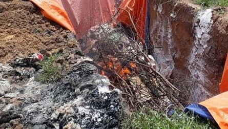 Phát hiện 40 tấn thịt heo ở cơ sở giò chả bị nhiễm dịch tả heo châu Phi ảnh 1