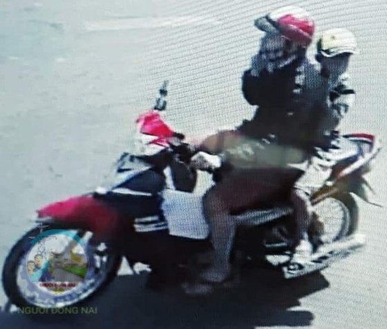 Truy bắt nghi phạm sát hại cháu bé 10 tuổi ở Đồng Nai ảnh 1
