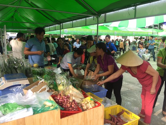 Khai mạc chợ phiên nông sản an toàn tại quận Bình Tân ảnh 1