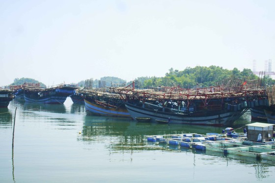 Quảng Ngãi: Ngư dân rơi xuống biển mất tích ảnh 1