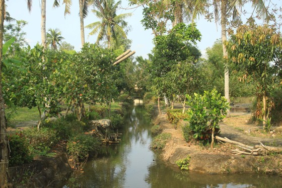 Tưởng niệm 52 năm ngày thảm sát Sơn Mỹ ảnh 8