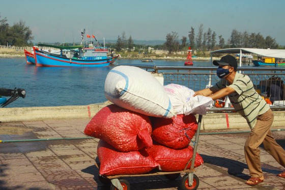 Tăng chuyến tàu đưa hơn 2.000 khách rời đảo Lý Sơn, Quảng Ngãi ảnh 11