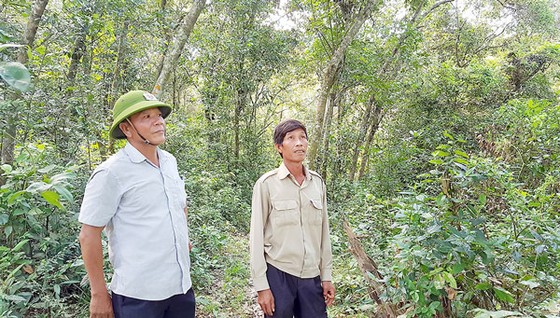“Nồi cơm lớn” của 10 xã ảnh 1