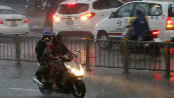 TPHCM mưa lớn kèm gió mạnh ảnh 1