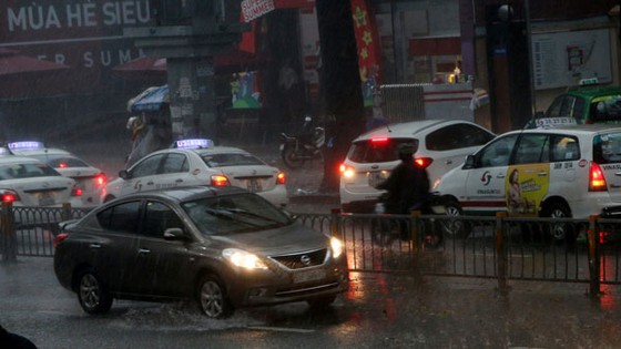 TPHCM mưa lớn kèm gió mạnh ảnh 2