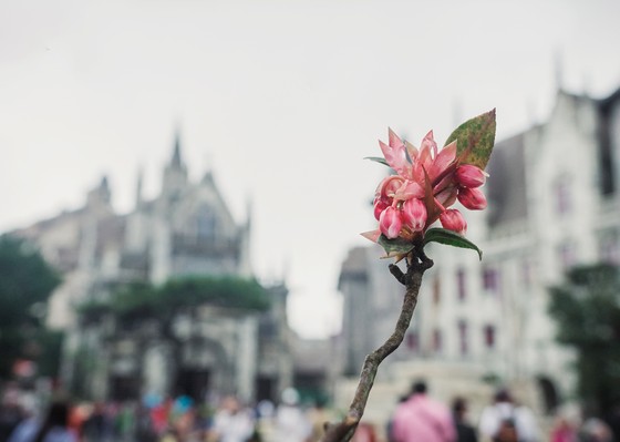 Nhiều chương trình khuyến mãi khủng dịp Tết tại các khu vui chơi khắp cả nước ảnh 3
