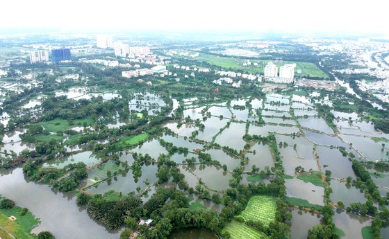TPHCM chuyển đổi 26.000ha đất nông nghiệp: Thị trường bất động sản sẽ có biến động ảnh 1