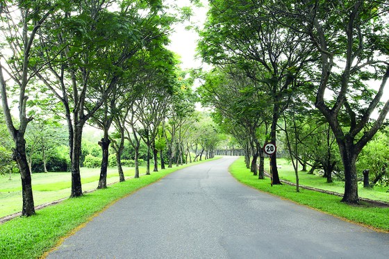 Vedan Việt Nam - 'Mái nhà' gắn kết người lao động ảnh 3