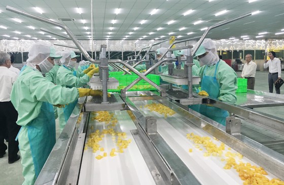 Đẩy mạnh công nghệ, tăng xuất khẩu nông sản ảnh 1