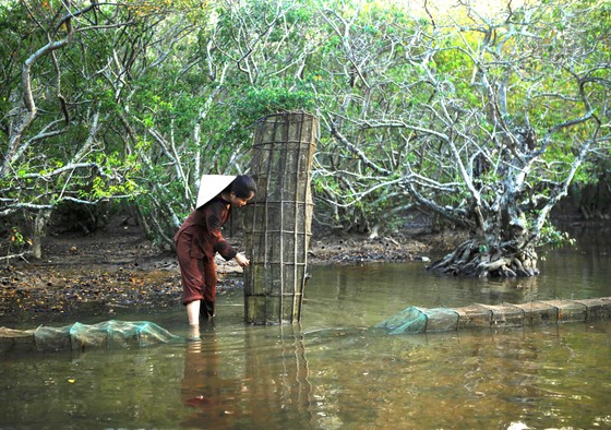 Lá chắn xanh nơi biển cạn ảnh 2