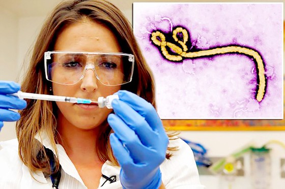 Phát hiện chủng virus Ebola mới ảnh 1