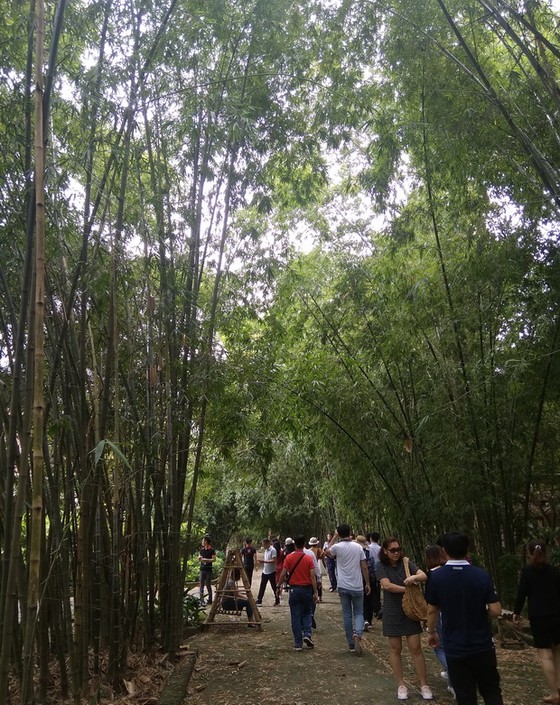 富安竹村─體現我民族骨氣與銳氣 ảnh 2