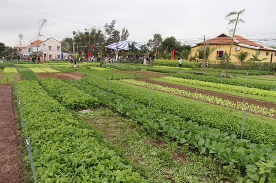 Tưng bừng lễ hội Cầu Bông Hội An ảnh 4