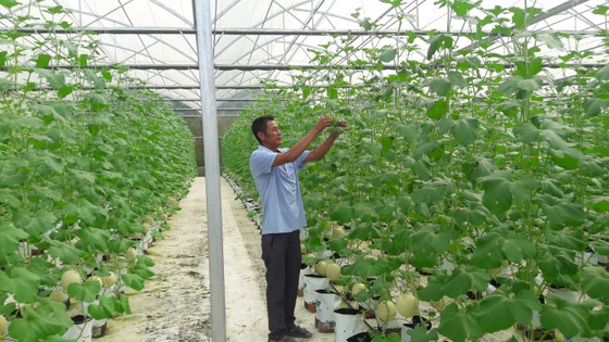 Hướng đến Đại hội Đảng bộ huyện Hòa Vang (Đà Nẵng) lần thứ XVII: Xây dựng Hòa Vang theo hướng đô thị có bản sắc riêng ảnh 2