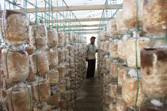 Đảng bộ huyện Hòa Vang - Dấu ấn một nhiệm kỳ ảnh 4