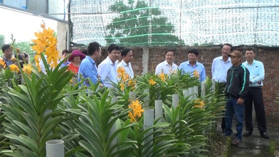 Hướng đến Đại hội Đảng bộ huyện Hòa Vang (Đà Nẵng) lần thứ XVII: Xây dựng Hòa Vang theo hướng đô thị có bản sắc riêng ảnh 4