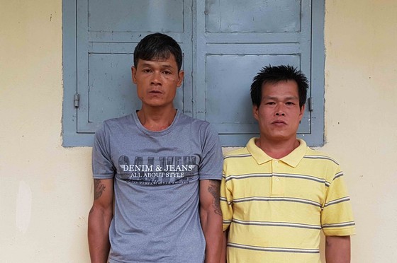 Triệt phá băng nhóm cưa hạ hàng loạt gỗ quý ảnh 1