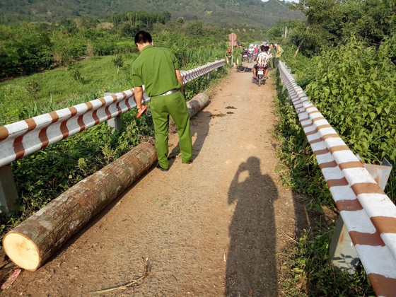 Lâm tặc đốt xe phi tang khi gặp kiểm lâm ảnh 2