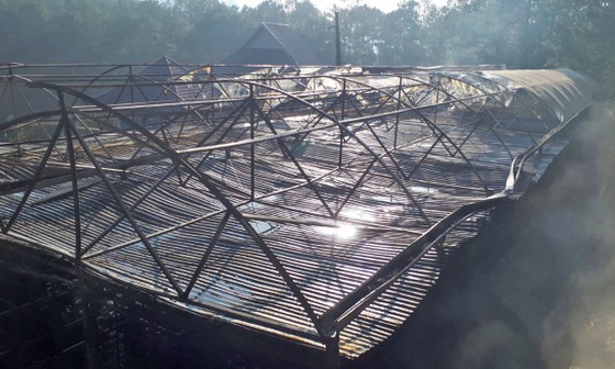 Cháy lớn tại Công ty sâm Ngọc Linh Việt Nam ảnh 2